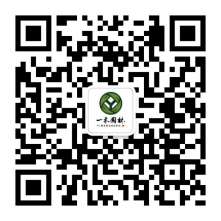 扫一扫联系我们
